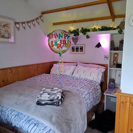 Peppercorn Pod At Beck House Glamping 호텔 Salmonby 외부 사진